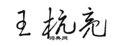 骆恒光王杭亮草书个性签名怎么写