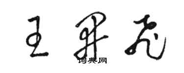 骆恒光王开飞草书个性签名怎么写