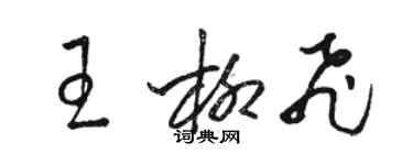 骆恒光王柳飞草书个性签名怎么写