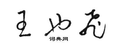 骆恒光王也飞草书个性签名怎么写