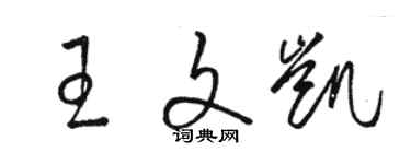 骆恒光王文凯草书个性签名怎么写
