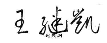 骆恒光王继凯草书个性签名怎么写