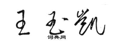骆恒光王玉凯草书个性签名怎么写