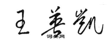 骆恒光王英凯草书个性签名怎么写