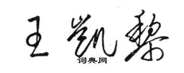 骆恒光王凯黎草书个性签名怎么写