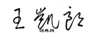骆恒光王凯朗草书个性签名怎么写