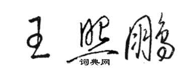 骆恒光王照鹏草书个性签名怎么写