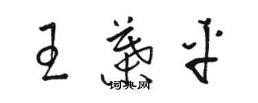 骆恒光王叶平草书个性签名怎么写