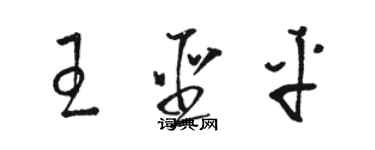 骆恒光王圣平草书个性签名怎么写