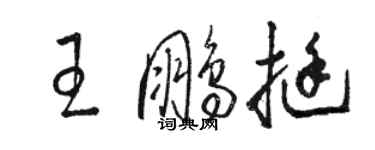 骆恒光王鹏挺草书个性签名怎么写