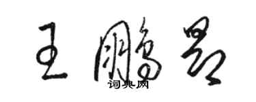 骆恒光王鹏昂草书个性签名怎么写
