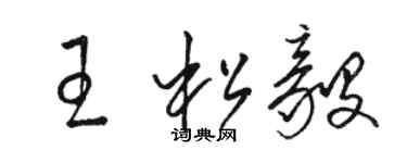 骆恒光王松毅草书个性签名怎么写