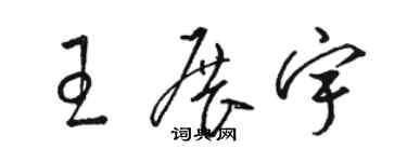 骆恒光王展宇草书个性签名怎么写