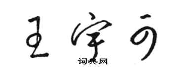 骆恒光王宇可草书个性签名怎么写