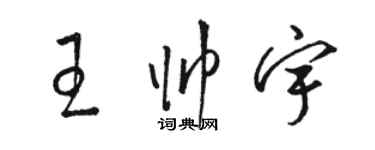 骆恒光王帅宇草书个性签名怎么写