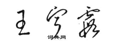 骆恒光王宁霞草书个性签名怎么写