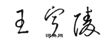 骆恒光王宁陵草书个性签名怎么写