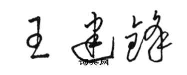 骆恒光王建锋草书个性签名怎么写