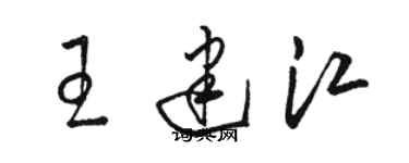 骆恒光王建江草书个性签名怎么写