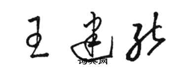 骆恒光王建能草书个性签名怎么写