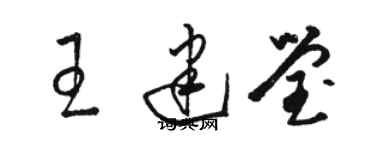 骆恒光王建莹草书个性签名怎么写