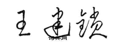 骆恒光王建锁草书个性签名怎么写