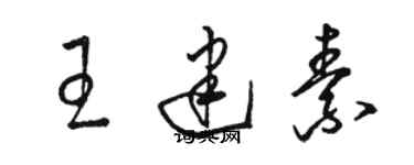 骆恒光王建素草书个性签名怎么写
