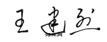 骆恒光王建烈草书个性签名怎么写