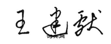 骆恒光王建献草书个性签名怎么写