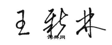 骆恒光王新林草书个性签名怎么写