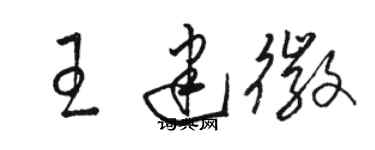 骆恒光王建徽草书个性签名怎么写
