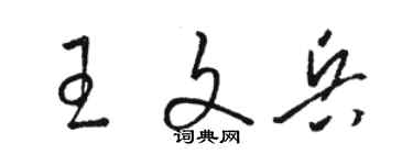 骆恒光王文兵草书个性签名怎么写
