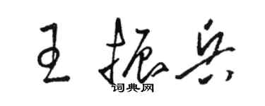 骆恒光王振兵草书个性签名怎么写
