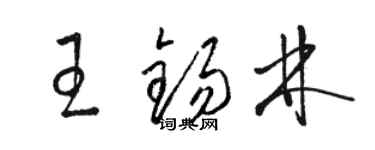 骆恒光王锡林草书个性签名怎么写