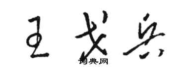 骆恒光王戈兵草书个性签名怎么写