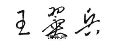骆恒光王翼兵草书个性签名怎么写