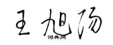 骆恒光王旭阳草书个性签名怎么写