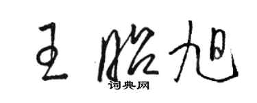 骆恒光王昭旭草书个性签名怎么写