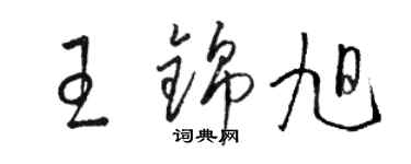 骆恒光王锦旭草书个性签名怎么写