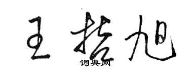 骆恒光王哲旭草书个性签名怎么写