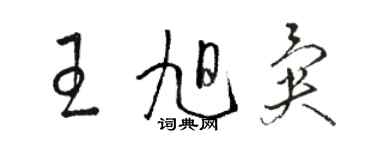 骆恒光王旭异草书个性签名怎么写