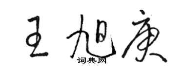 骆恒光王旭庚草书个性签名怎么写