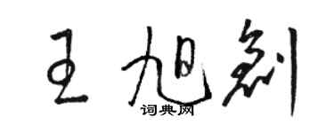 骆恒光王旭创草书个性签名怎么写