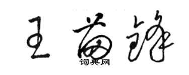 骆恒光王苗锋草书个性签名怎么写