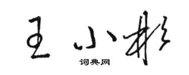 骆恒光王小彬草书个性签名怎么写