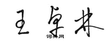 骆恒光王卓林草书个性签名怎么写