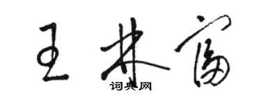 骆恒光王林富草书个性签名怎么写