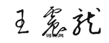 骆恒光王震龙草书个性签名怎么写