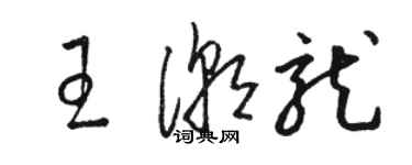 骆恒光王潮龙草书个性签名怎么写