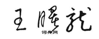 骆恒光王曙龙草书个性签名怎么写